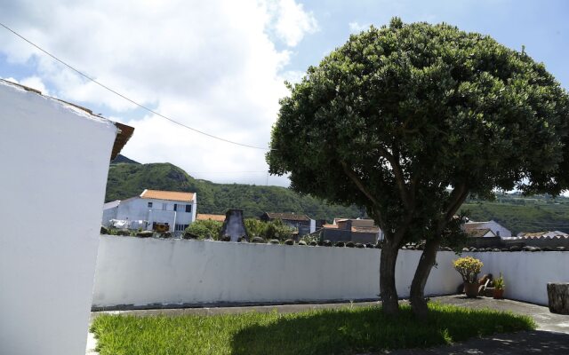 Magnólia