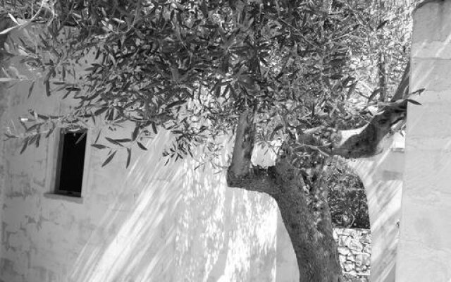 Affittacamere Madi Immobiliare