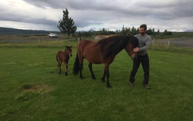 Skálinn between Gullfoss and Geysir – Myrkholt Farm