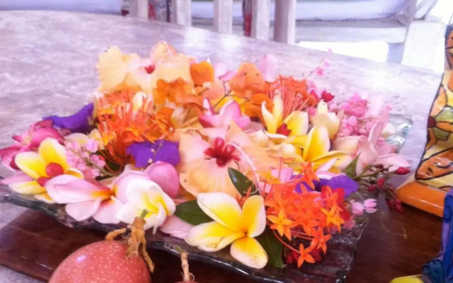 Shady Grove Healing Centre and Homestay