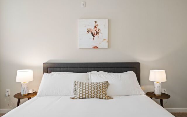 Dallas Beautiful 1BD 1BA Downtown Apartment