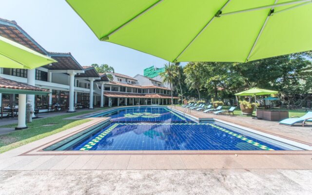 Palms, Mount Lavinia