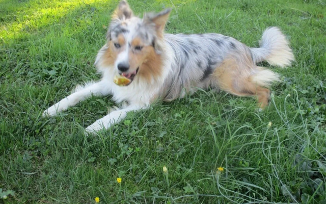 Le gîte de la Petite Résie