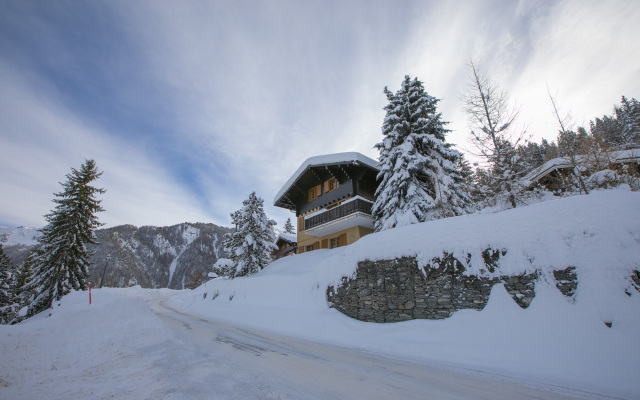 Chalet La Dame Blanche Perfect Family Retreat
