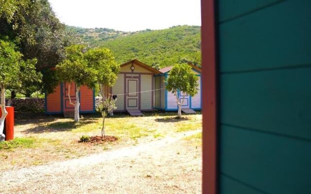 Social Camping JAL