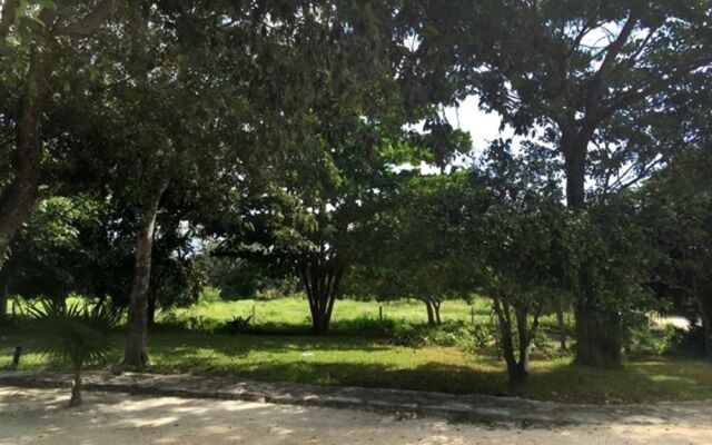Hotel Casa Tortuga Tulum Cenotes Park Inclusive