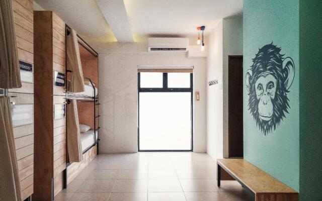Mayan Monkey Los Cabos Social Hotel - Adults Only