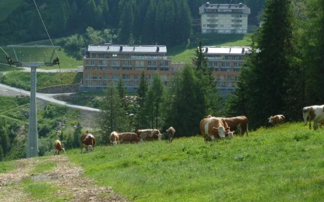 Ckpk Appartements Sonnenalpe