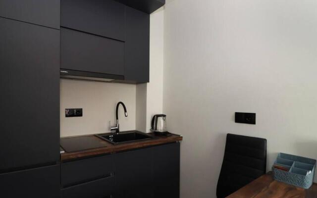 Ski In Out Studio Apartment in New Gudauri