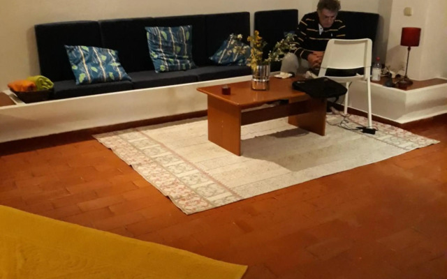 House with beautiful garden and swimming pool