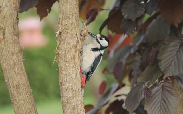 Serene Apartment in Roggow with garden seating