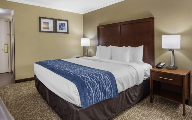 Comfort Inn Sunnyvale - Silicon Valley