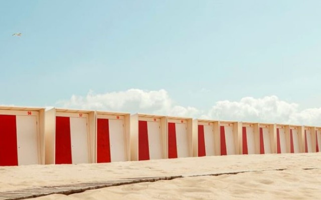 Cozy Apartment in Egmond aan Zee near Beach