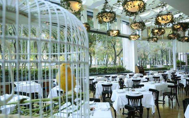 Marquis Reforma Hotel Spa