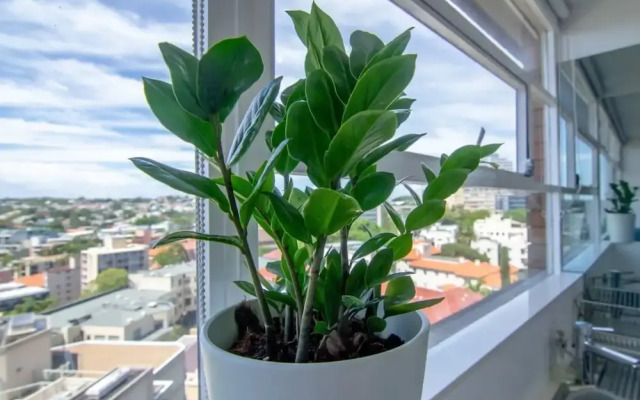 Bright 1 Bedroom Studio With Amazing City Views