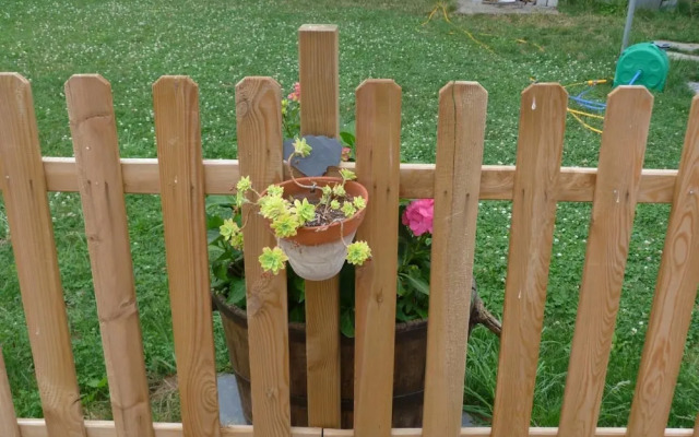 Pensión Albergue A Pedra