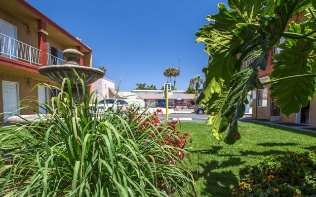 Quality Inn Salinas