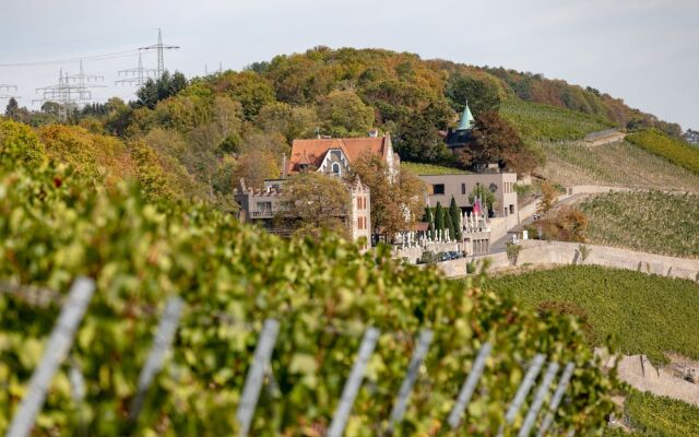Schlosshotel Steinburg