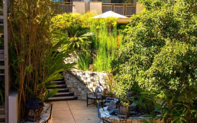 Tradewinds Carmel