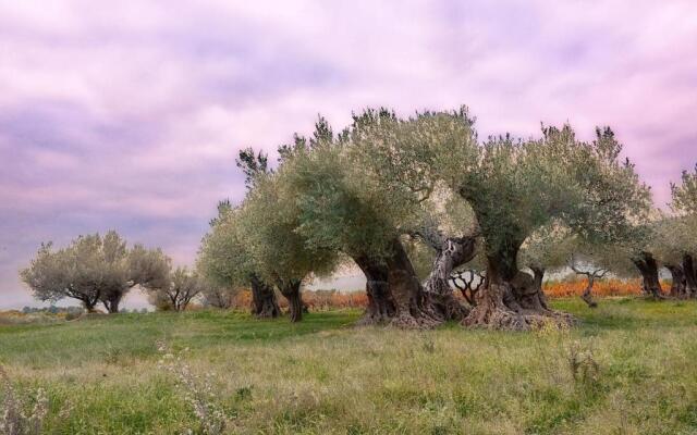 Charme Provençal