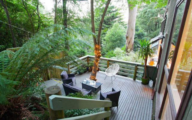 Treetop Stay