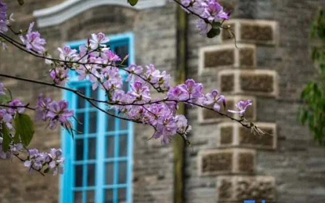 Qifu · JuE Hotel (Yantaishan Shangxiahang)