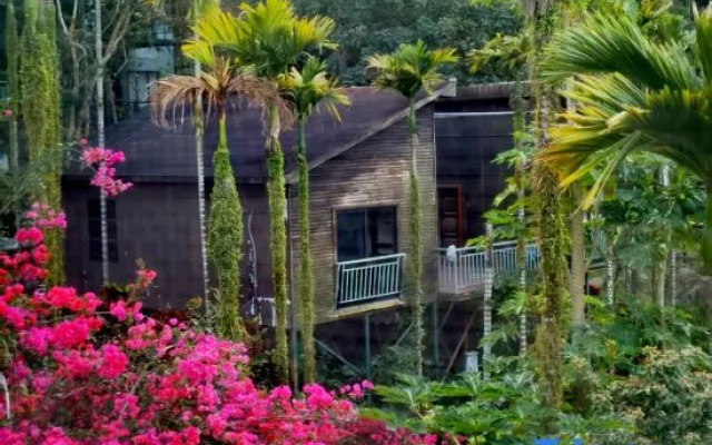 Wanning Olive Tree Villa