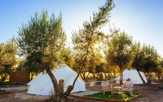 Guadalupe Valle Glamping