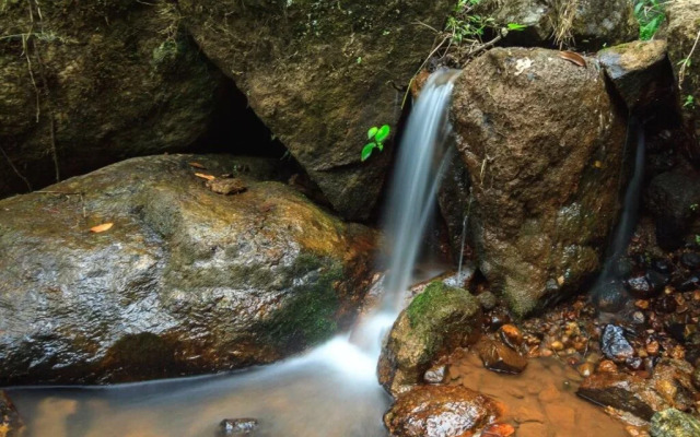 Neelakurunji Luxury Plantation