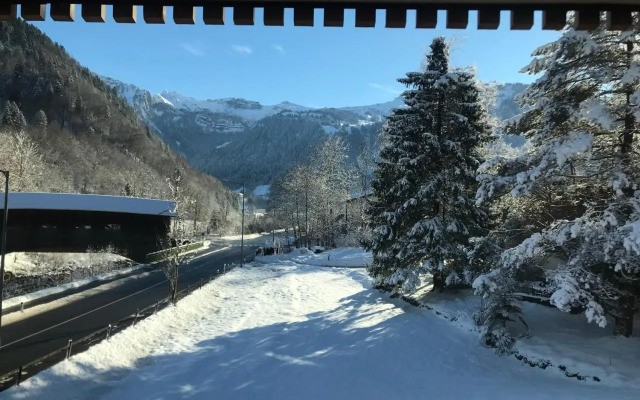 Apartment Bergblick-Mellau