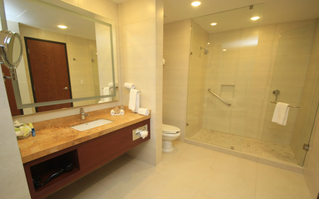 Holiday Inn Leon Plaza Mayor by IHG