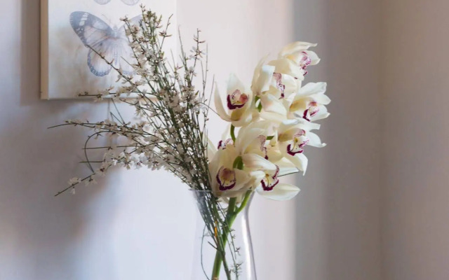 Residenza Scipioni Luxury Rooms