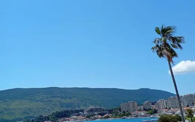 Apartments Cebra