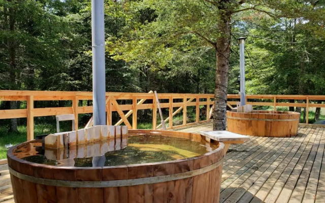 Cabañas Pewma Nentum