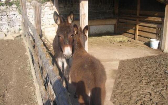 Tourist farm Tonin