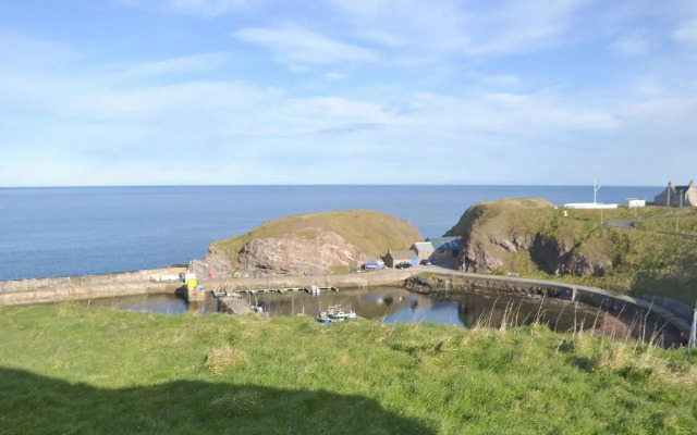 Dolphin View - UK30689