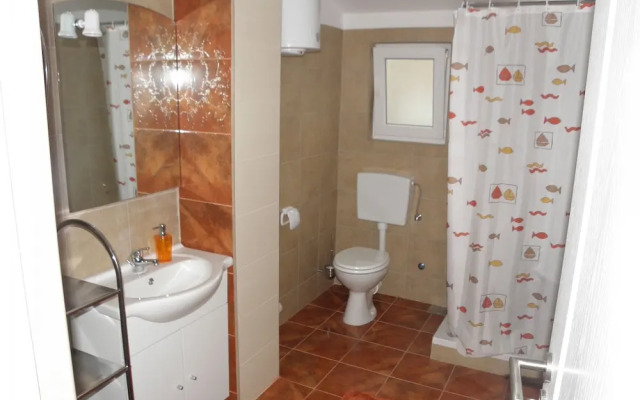 Ante - Free Parking - A1