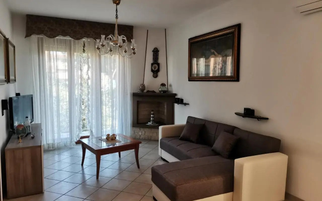 Il Tulipano