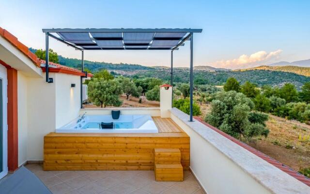 Villa with Shared Pool and Jacuzzi in Seydikemer