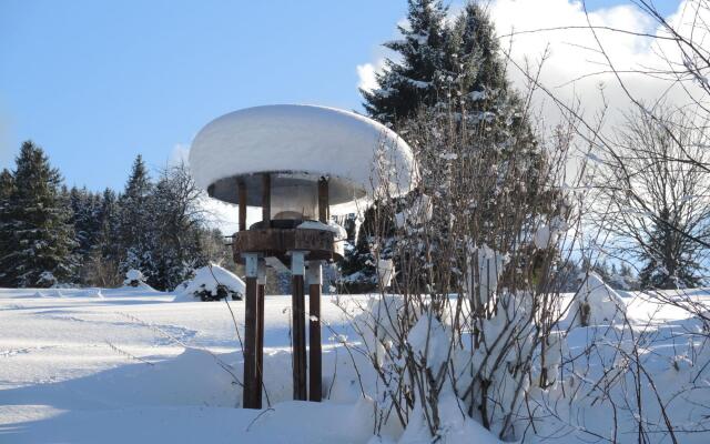 Beautiful Apartment in Bernau im Schwarzwald with Terrace