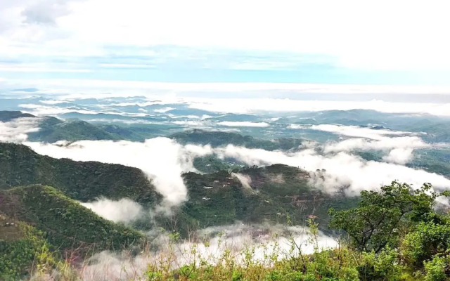 Jaitak Resort By Pine