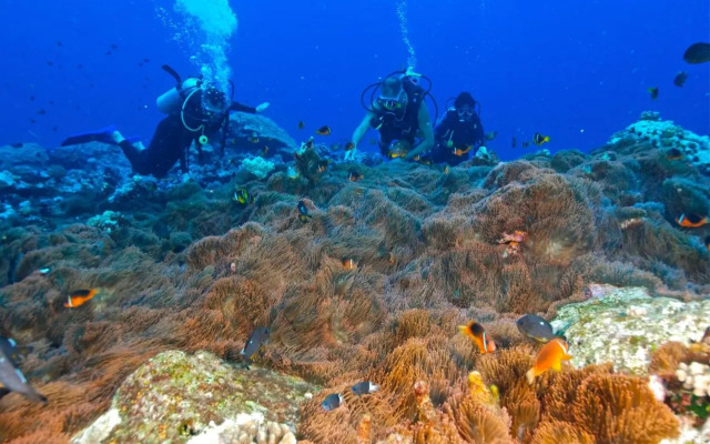 Reef Resort Vava U