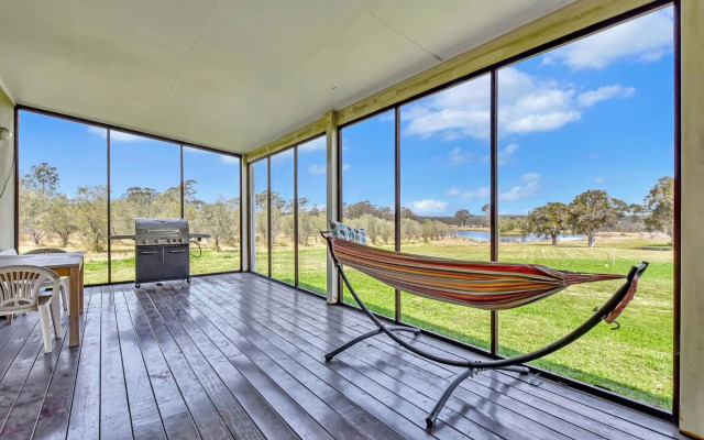 Olives and Vines at Majors Lane