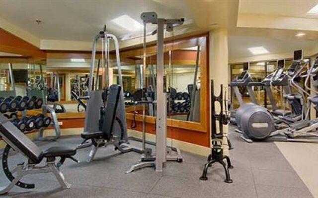 Hilton Chicago / Indian Lakes Resort