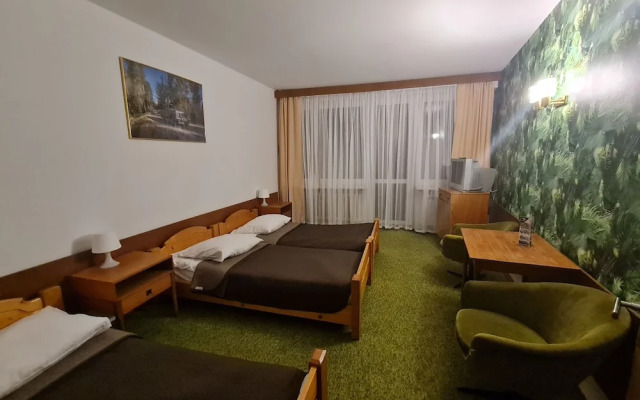 Hotel Tatry - POLSKIE TATRY S.A.