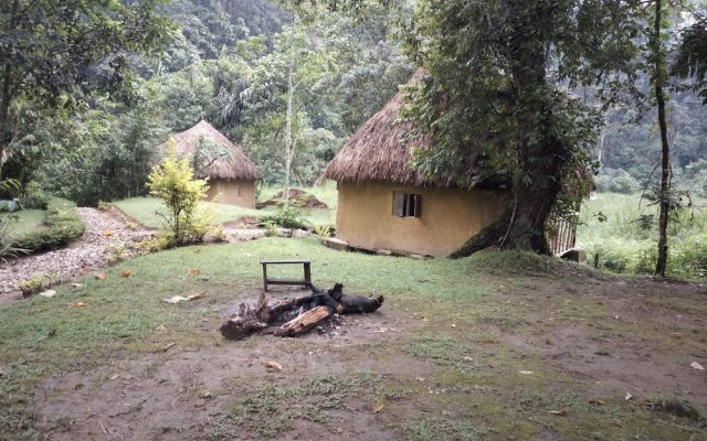 Nshongi Forest Camp