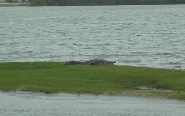 Hafersons Inn Hotel & Suites