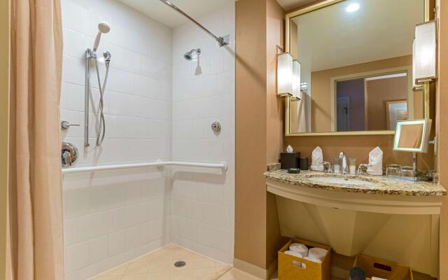 Hyatt Regency Coconut Point Resort & Spa