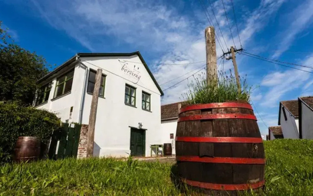 Borvirág Guesthouse