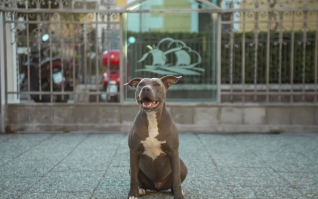 Hotel Arethusa Prestige